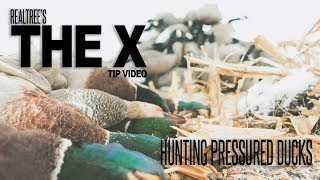 The X: Tips for Hunting Pressured Ducks Wealth