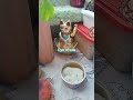 приятного аппетита суп мясо лук картофель морковь масло сливочное
