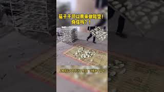 No.|whatsapp8615966151202|茄子烘干机 |Vegetable Dryer|مجفف الخضروات|Сушилка для овощей