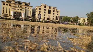 UMT Green A Beautiful View #umt