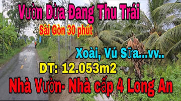 BÁN NHÀ VƯỜN ĐẸP LONG AN – NHÀ CẤP 4 TIỆN NGHI, VƯỜN DỪA ĐANG CHO TRÁI- SỔ RIÊNG