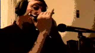 Video thumbnail of "Can't help falling in love (Elvis Presley) - Harmonica"