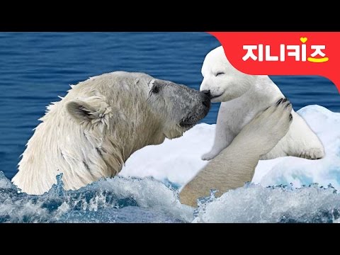   북극곰의 눈물 1 북극의 얼음이 녹고 있어요 지구온난화 예방 실천방법 환경 동화 지니키즈