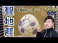 【ポケモンGO】10キロたまごからアイツが孵化！野生進化系も獲得！【天保山】