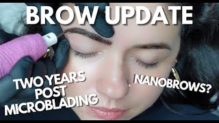 Microblading Vs Tattoo Brows Nano Brows - Year 2 Brow Update