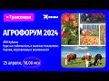 Агрофорум 2024: АПК Кубани: Курс на стабильность и высокие показатели