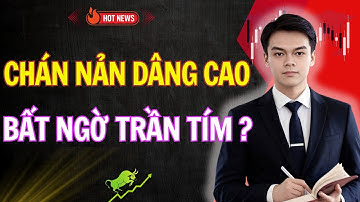 Cảnh Báo: Chán Nản Dâng Cao - Thời Cơ Vàng Hay Lụi Tàn? Nhà Đầu Tư Phải Biết Ngay Tránh Mất Tiền!