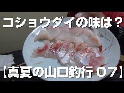 コショウダイの味は 真夏の山口釣行07 Youtube