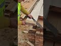 cutting wood very easily using a knife #construction #wood #knife #popular #viralshorts #shorts