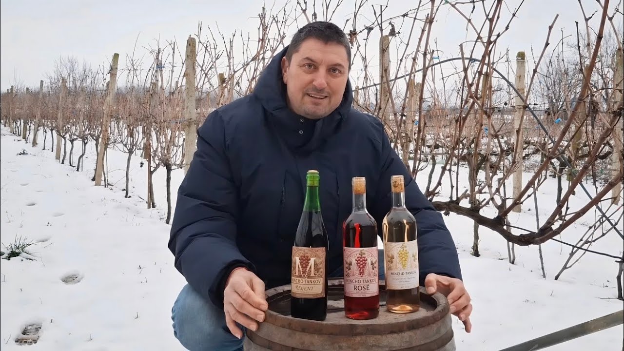 Как мне разлить по бутылкам домашнее вино?