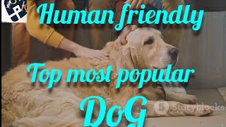 Human friendly Top most popular Dogs