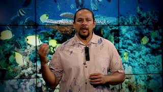 Hawaiian Word of the Day - Ko'a Hawaiian Word Of The Day Moa E