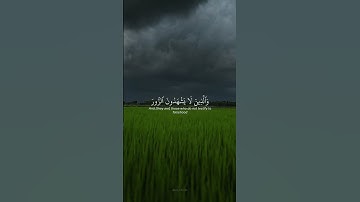"المستمع للقرآن شريك للقارئ في كل حرف حسنة؛ والحسنة بعشر أمثالها" ...-ابن باز