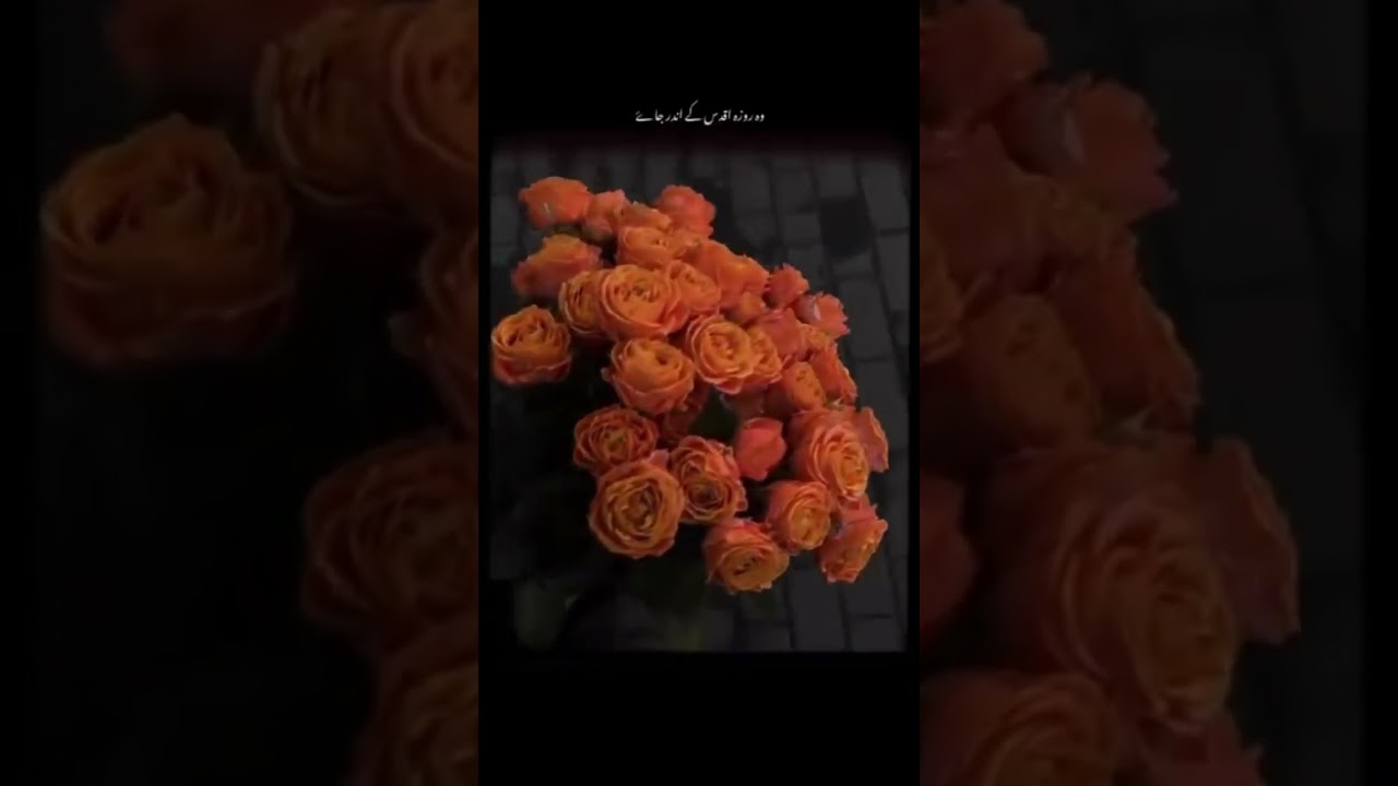 Nakarim sallallahu alaihi wa sallam # Abhivi kabarmr jibit hai