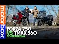 Sfida Maxi Scooter sportivi | Yamaha TMax 560 Tech Max Vs Honda Forza 750, il vincitore è...