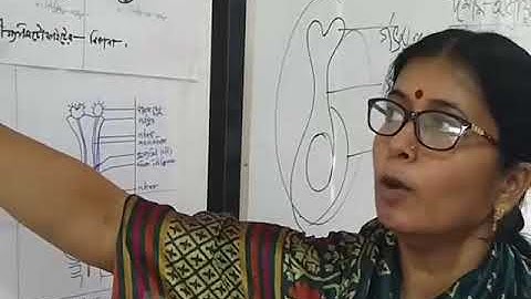 1 Biology 1st Paper Chapter 11