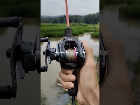 test reel baitcasting