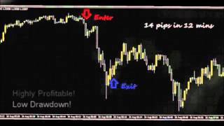 Forex One Minute System - 100 to 200 pips