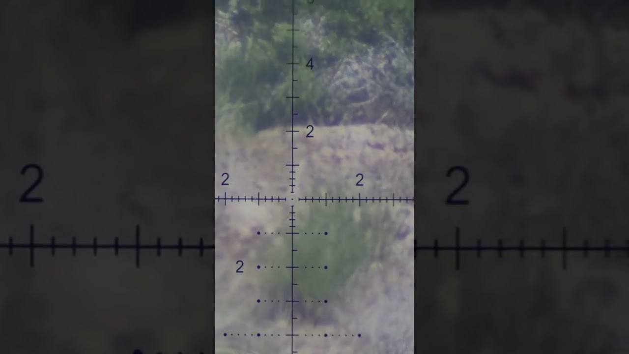 Why Aren’t You Hunting Ground Squirrels Part 2!! ZAN Slugs VS Vermin 