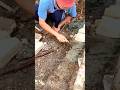 Manual Brick Laying Process for Foundation Alignment | Traditional Construction Work