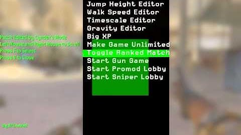 CoD4 Mod Menu on PC/Windows