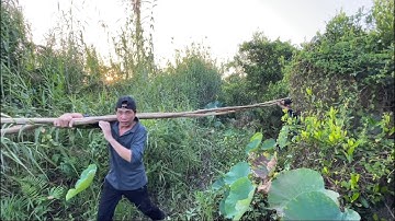 Thử Thách Cắm Câu Cá Lóc Ai Thắng | Hunting | - TT1847