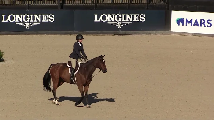 Winning Round: Grand AO Hunter 3'6" Champions Laur...