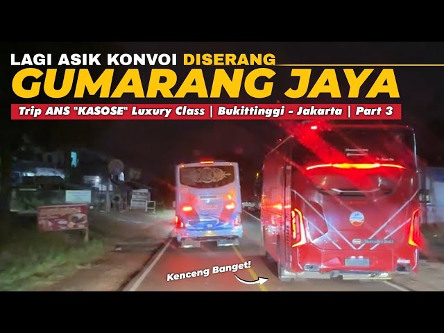 2 ANS LAGI SERU KONVOI, DISERANG GUMARANG JAYA‼️😱 - Trip ANS “Kasose” | Bukittinggi - Jakarta Part 3 class=