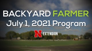 Backyard Farmer July 1, 2021