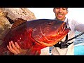 Pesca de PARGO GIGANTE || Pesca en Altamar