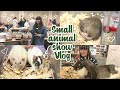 Picking up my NEW rats at a Pet Show | Vlog