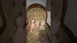 Thank you for the new home Kendra, it’s been a long journey. ❤️