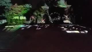 20161118 2130 高台寺