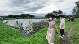 【植物資源科学コース】植物遺伝育種学研究室（松島憲一准教授・根本和洋助教）2021オープンラボ動画