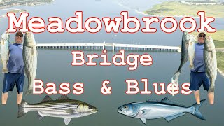 Striped Bass & Big Bluefish on the BIG Meadowbrook Bridge