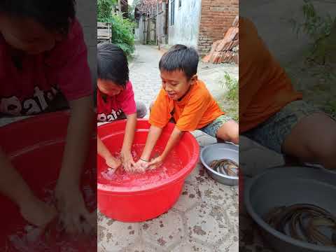 Lomba nangkap ikan belut hidup bocil lucu #challenge #viral #shorts