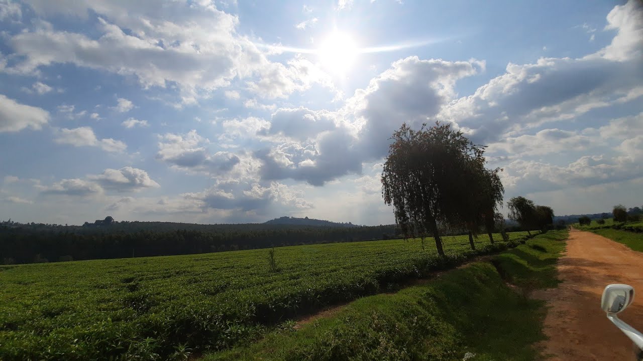 BEAUTIFUL ENDLESS TEA PLANTATIONS OF NANDI HILLS - NANDI COUNTY KENYA ...