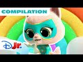 Bitsy's SuperKitties Vlogs | Season 2 Part 3 | Compilation | @disneyjr