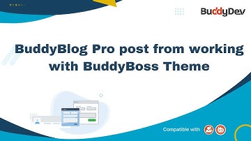 BuddyBlog Pro post from working with BuddyBoss Theme