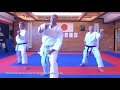 ZOOM 3 - online Training beim 1. Shotokan Karate Club Frankenthal mit Marijan Glad