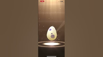 Hatching 4 Pokemon eggs at once