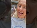 Wood pigeons are incredible - meet DAVE! #Dave #woodpigeon #pigeonsoftiktok #pigeonlover #pigeon