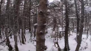Hiking N 2 check out a place 2 cut a  Winters Wood