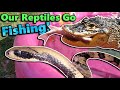 Reptile Pool Party!!