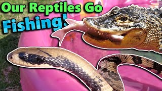 Reptile Pool Party