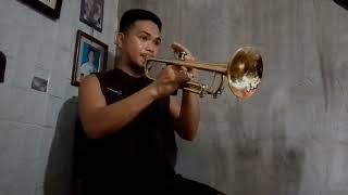 Sweet Caroline - Neil Diamond (Trumpet) Cover 🎺 Resimi