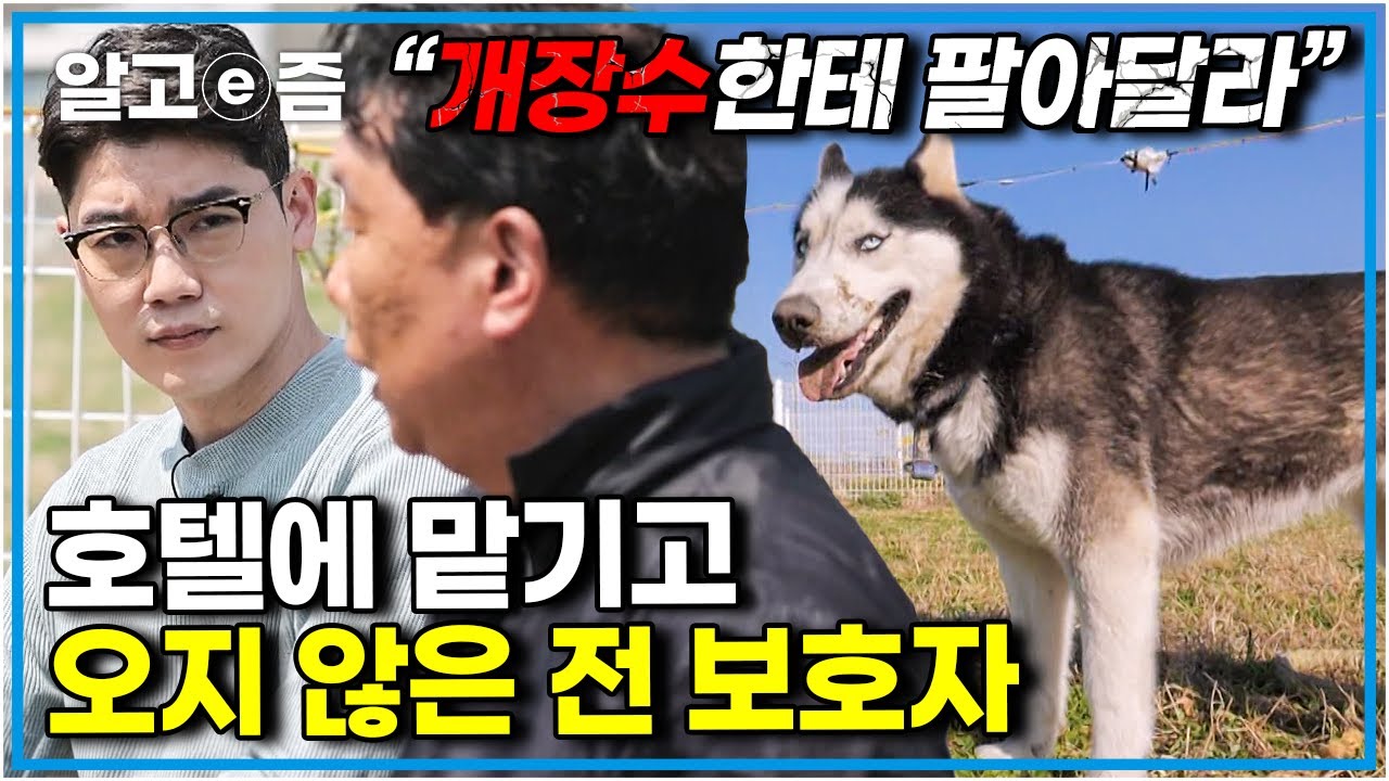 공격성 때문에 보호자가 입양하지 않으면 갈 곳 없던 개.. 저마다의 안타까운 사연들을 안고 모인 9마리 대가족│세상에 나쁜 개는 없다│알고e즘