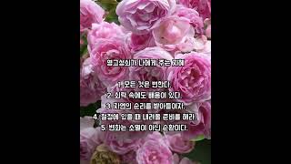 변화는 소멸이 아닌 순환이다.  #사자성어 #명언 #동기부여 #성공으로가는길 #인생의도전 #자기수행