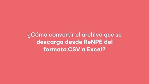 Cómo convertir archivo CSV a Excel - ReNPE 2025 (Relevamiento Nacional de Personal Educativo