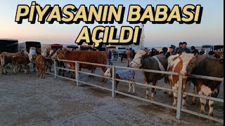 Kirşehi̇r Hayvan Pazari 24 Mart Güncel Fi̇yatlar